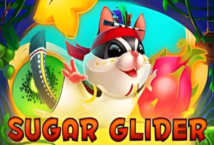 Sugar Glider