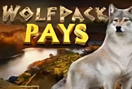 wolfpack-pays.jpg