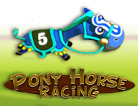 Pony Horse Racing