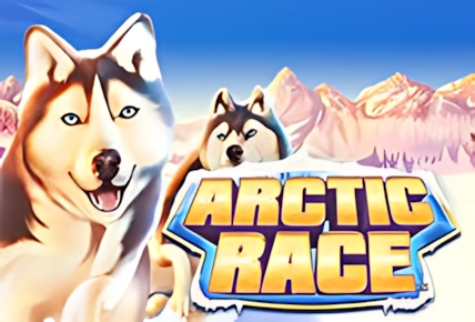 Arctic Race