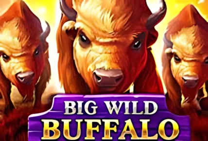 Big Wild Buffalo