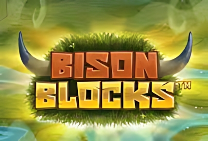 Bison Blocks