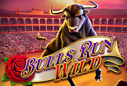 Bulls Run Wild