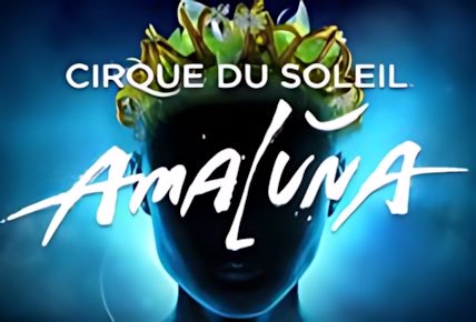 Cirque Du Soleil Amaluna