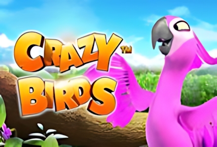 Crazy Birds