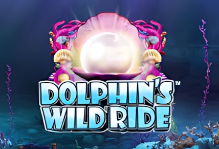 Dolphins Wild Ride