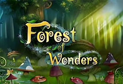 Forest Wonders