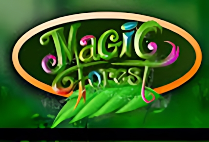 Magic Forest (Caleta)