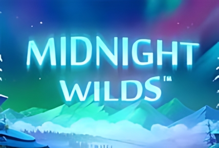 Midnight Wlilds