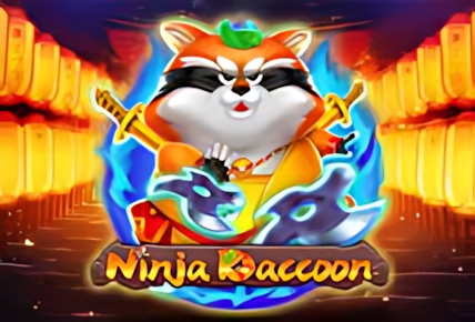 Ninja Raccoon