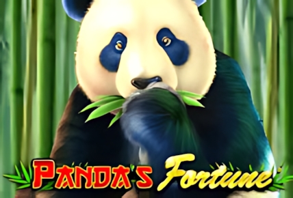 Pandas Fortune