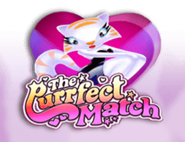 Play The Purrfect Match