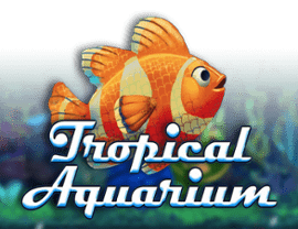 Tropical Aquarium