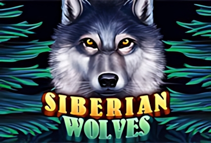 Siberian Wolves