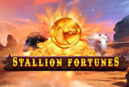 Stallion Fortunes