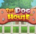 the-dog-house.jpg