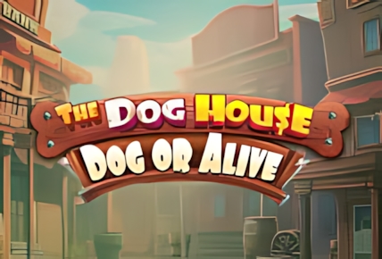 the-dog-house-dog-or-alive.jpg