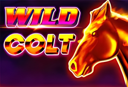 Wild Colt