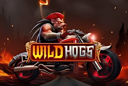 Wild Hogs